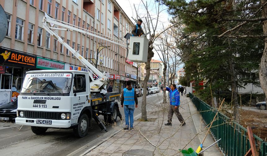 Mevsimsel Budama Çalışmalarına Başlandı!