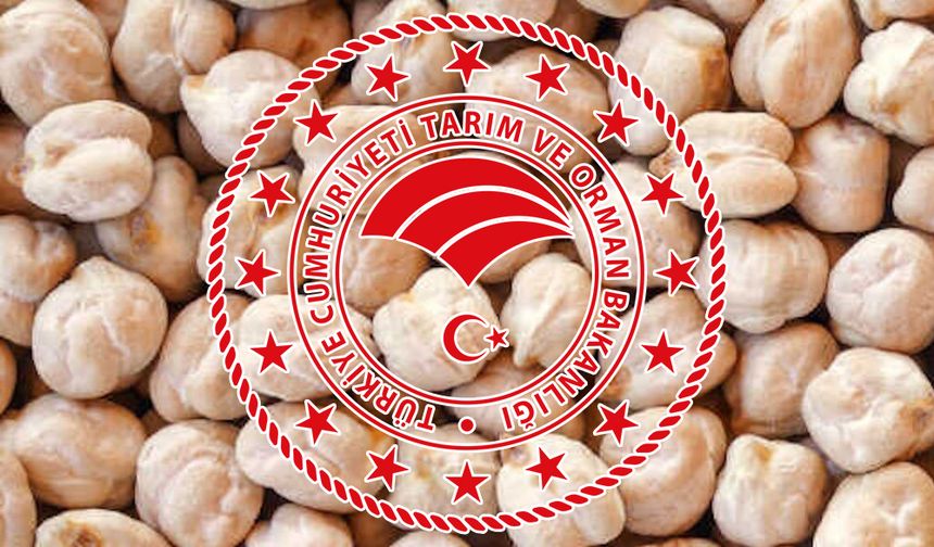 Çiftçilere %70 Hibeli Nohut Tohumu Desteği Başlıyor