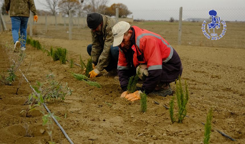 Belediyeden Kırsala Tarımsal Destek