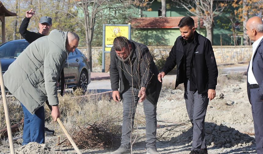 Toprakla Buluşan Her Fidan, Umuda Dönüşüyor