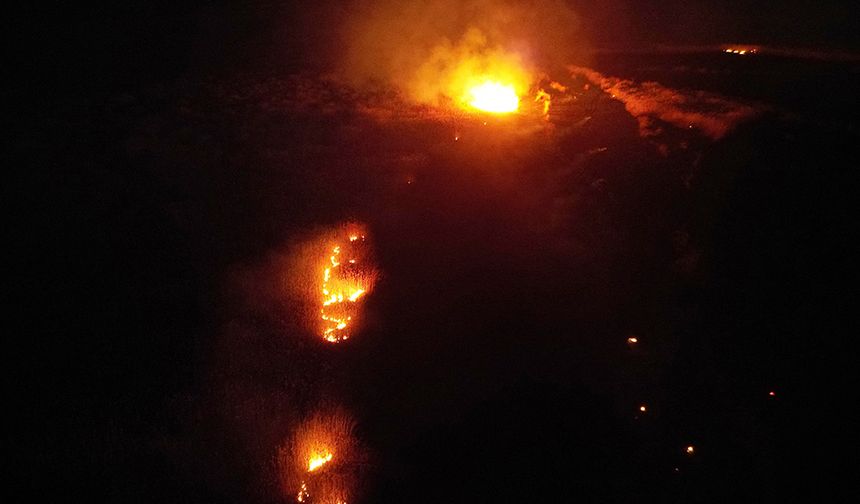 Eber Gölü'nde Yangın