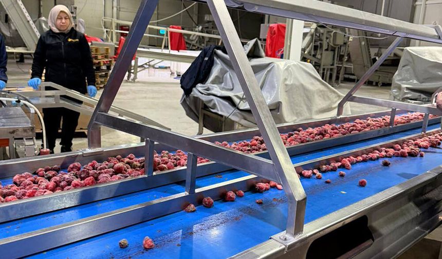 Akşehir’de Gıda Denetimleri Sıklaştırıldı