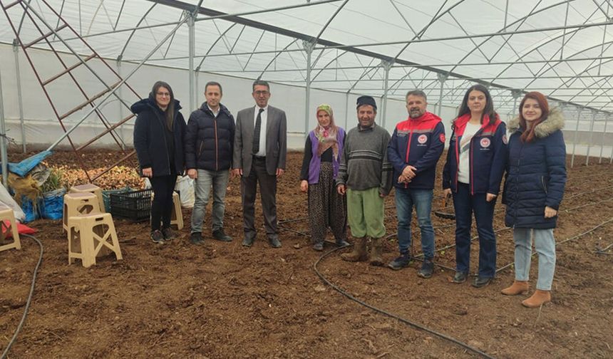 KOP Projesiyle Kurulan Seralar Üretime Hazır