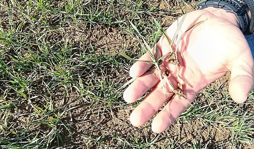 Akşehir’de Sürdürülebilir Tarım Üretimi İçin Teknik Destek