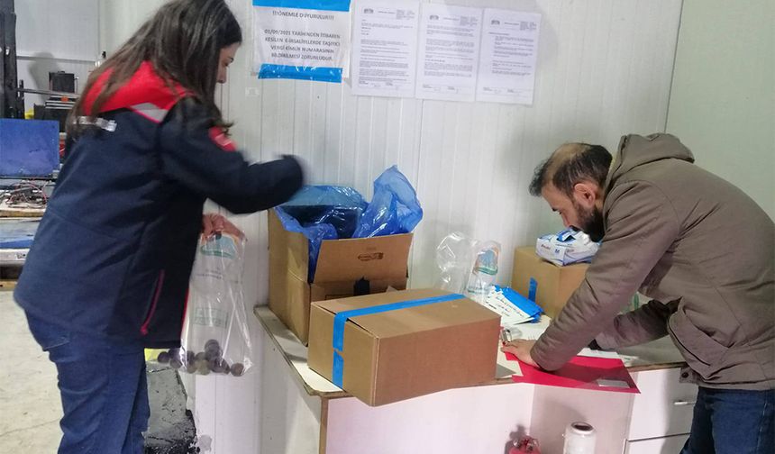 İhracat Yapan İşletmede Numune Denetimi