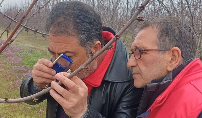 Meyve Bahçelerinde İlkbahar Mesaisi Başladı