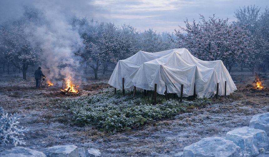 İlçe Tarımdan Zirai Don Uyarısı