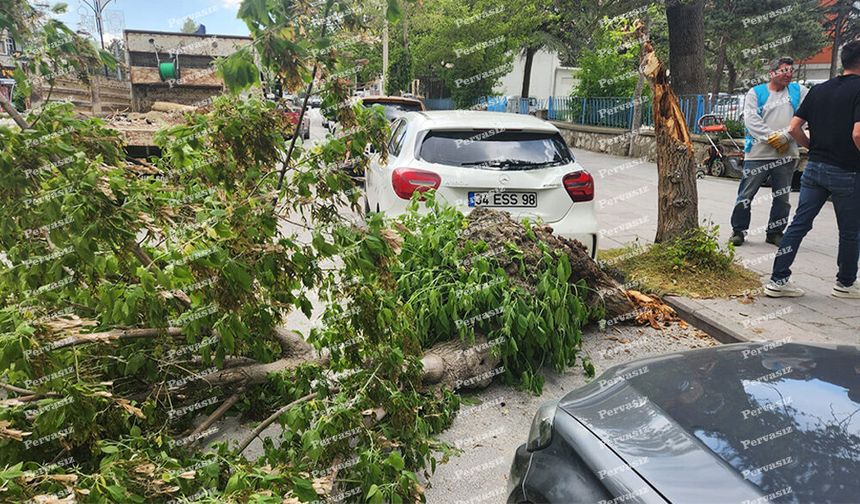 Şiddetli Rüzgarın Kırdığı Ağaç Otomobilin Üzerine Düştü