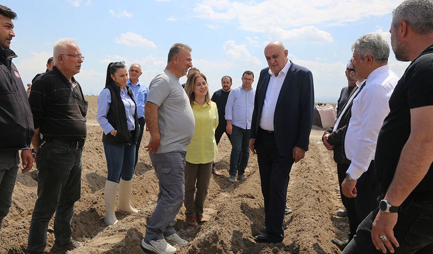 Başkan Erkoyuncu Patates Ekimine Katıldı