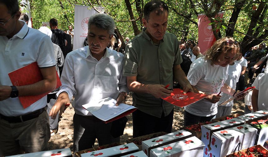 Akşehir Kirazı Hasat Şenliği Coşkuyla Gerçekleştirildi