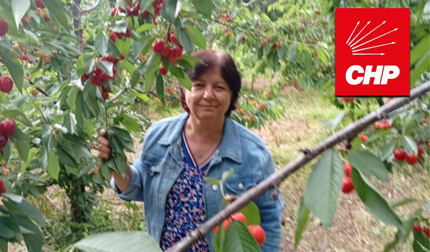 Kiraz Üreticisinin Dün Olduğu Gibi Bugün de Yanındayız