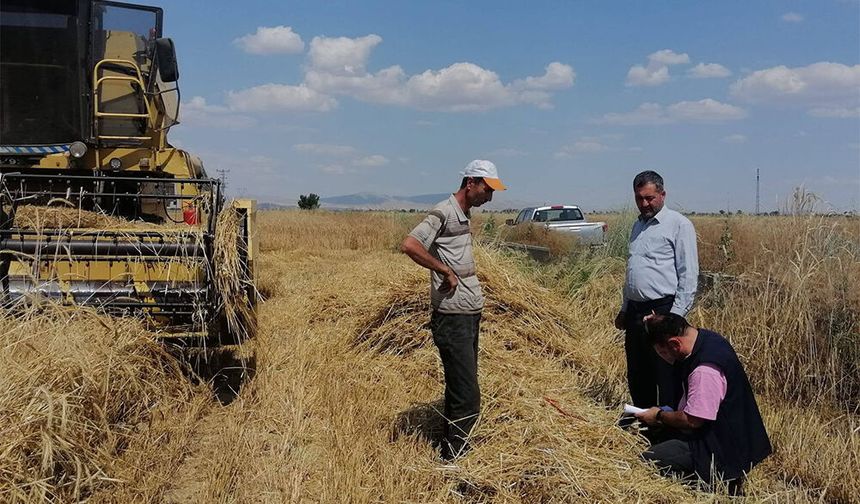 Hububat Hasadında Biçerdöver Denetimleri Sürüyor