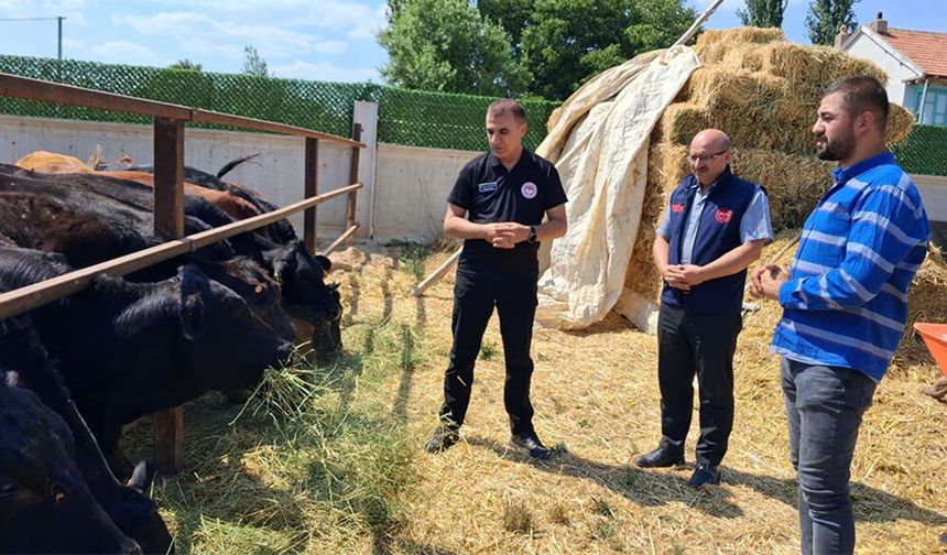 Akşehir’de Büyükbaş Hayvancılık Desteği Sahada İncelendi