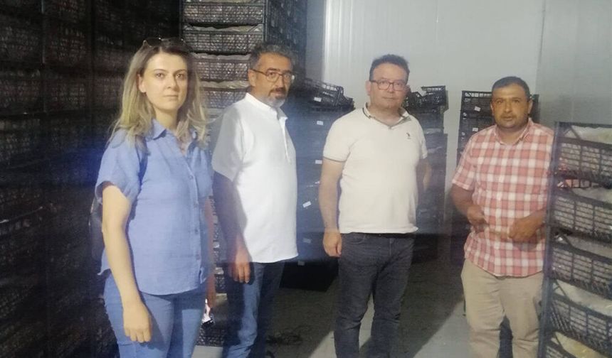 Akşehir’den Manisa’ya Çilek Projesi İçin Teknik İnceleme Gezisi