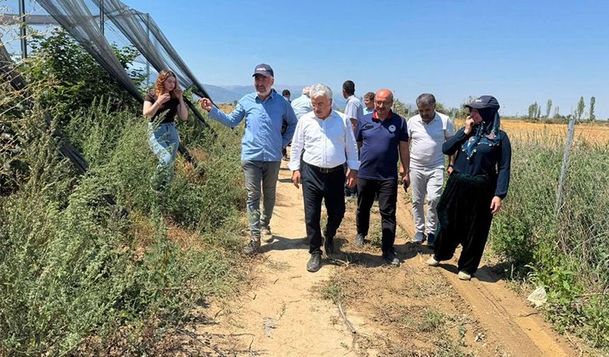 Akşehir’de KOP Destekli Seralar ve Böğürtlen Tesisinde İnceleme