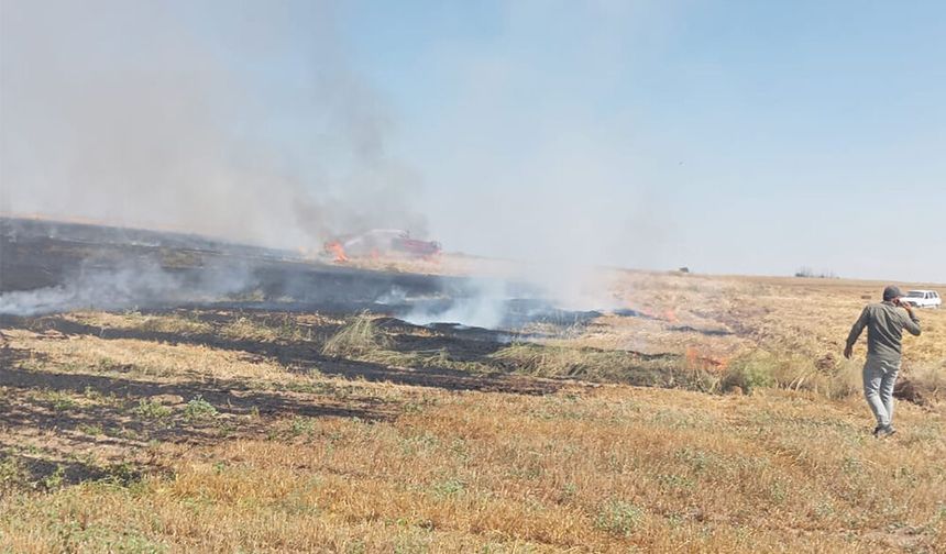 Tarla Yangını: 15 Dekar Zarar Gördü