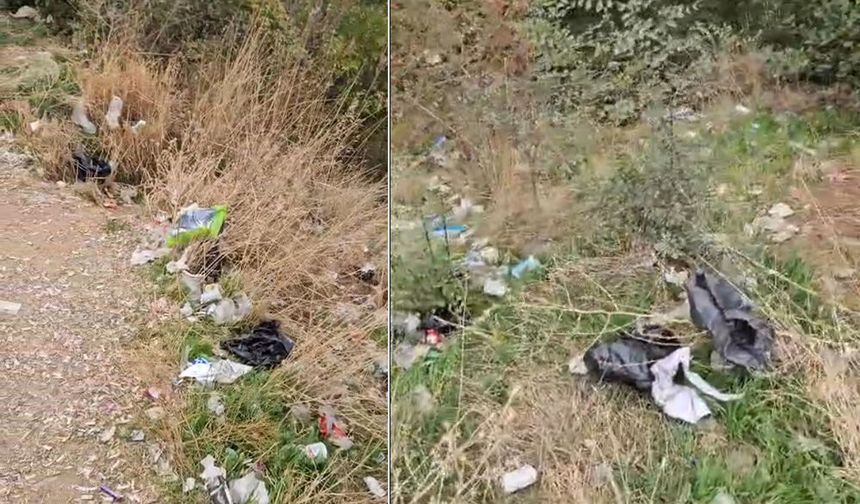Akşehir Eski Hıdırlık’ta Ormanlık Alanda Görüntü Kirliliği
