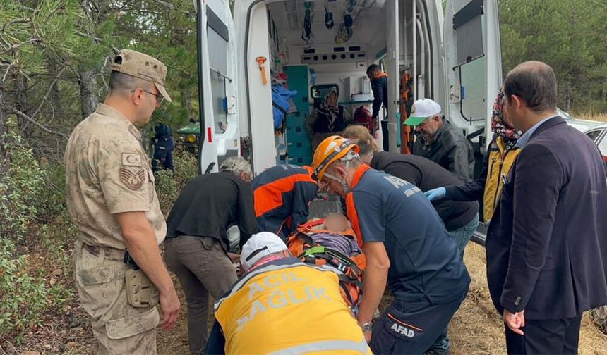 Odun Toplamaya Gittiler, 2 Gün Boyunca Mahsur Kaldılar