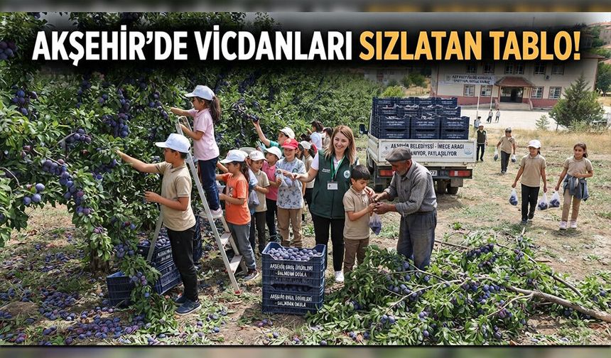 Sevim Uzun: Binlerce Ton Erik Dalında Kaldı, Üretici Çare Bekliyor