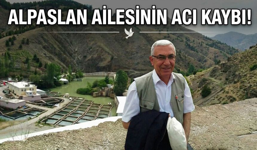 Mehmet Ali Alpaslan Vefat Etti