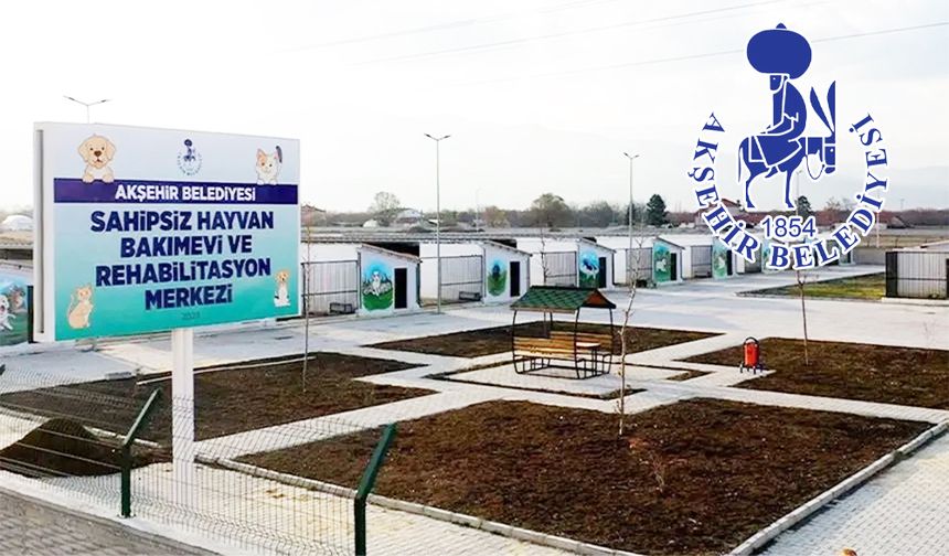 Belediyeden Gazi Mahallesi'ndeki Köpek Saldırısı Açıklaması