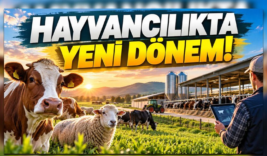 Hayvancılık İşletmelerine Yeni Sınıflandırma