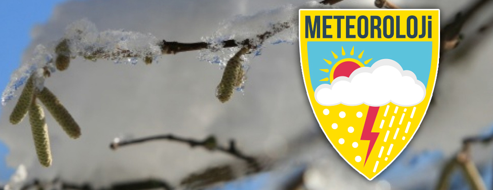 Meteoroloji'den Zirai Don Uyarısı