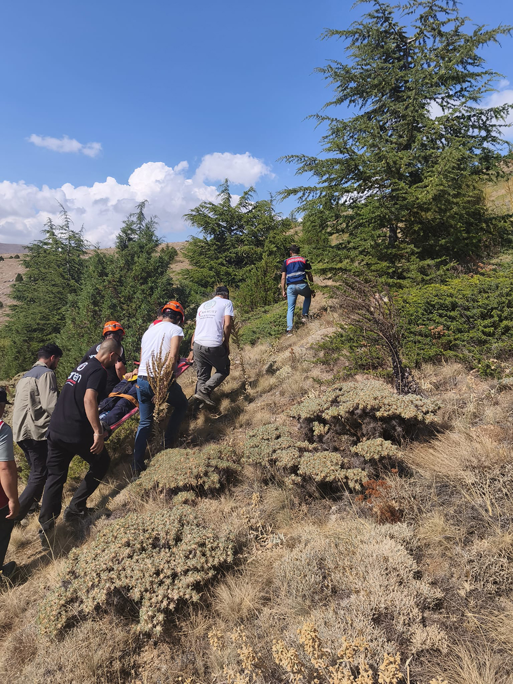 45D81Ffd Efd1 4185 8De6 D63317Ace702