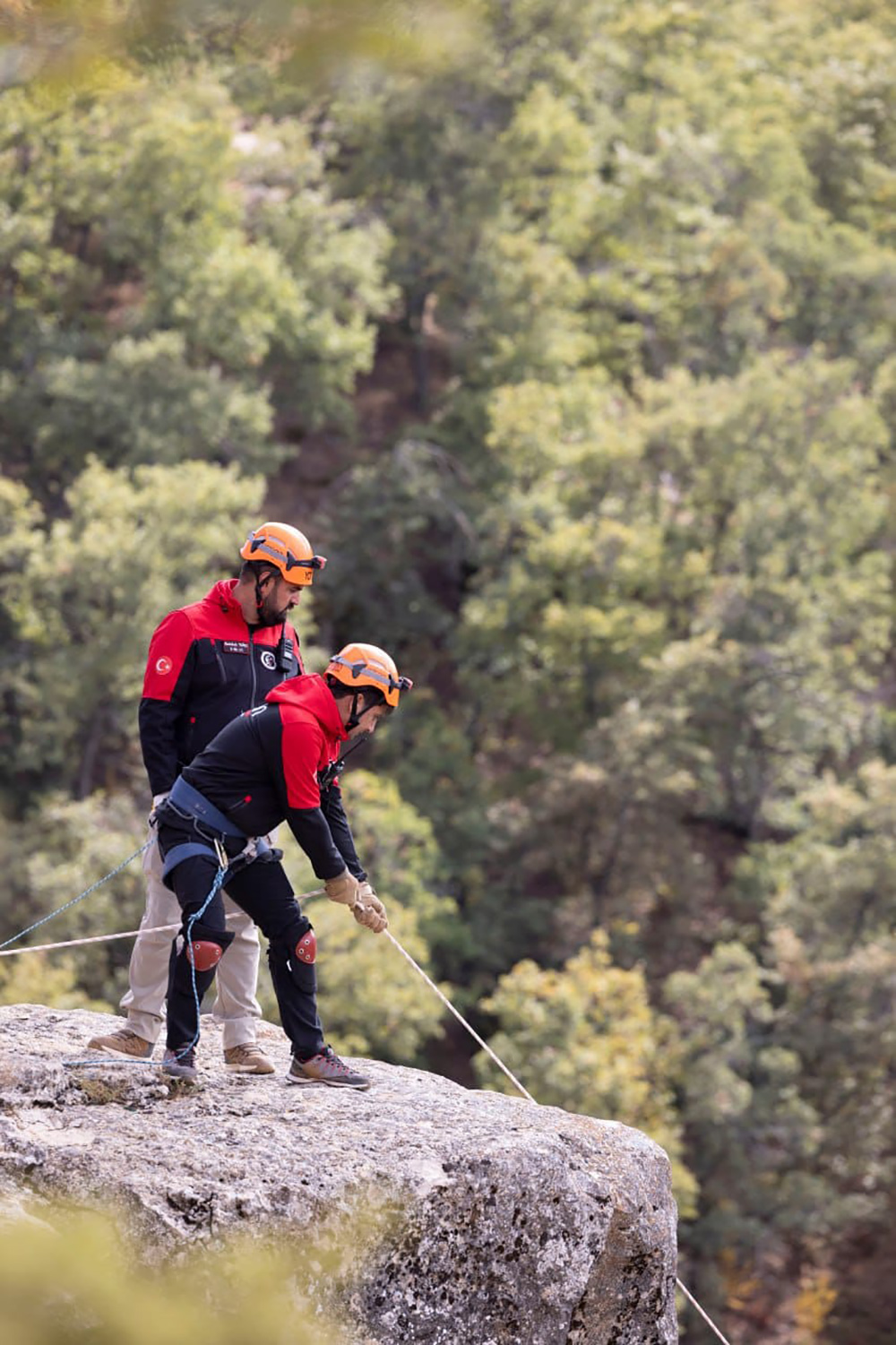 4B268F86 C711 4443 84E3 8Ab1F02F6412