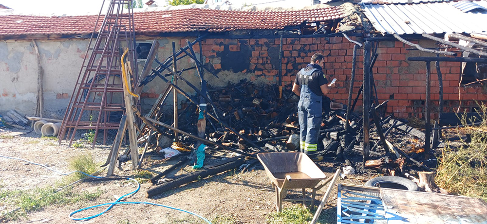 D01Fab22 Ebc9 4526 A796 Cb5Af181F5Cd