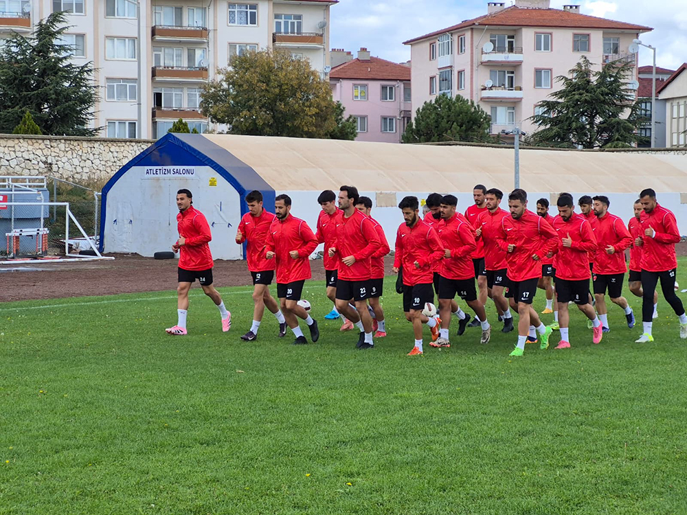 319A828E 2398 4431 A8Cd Fe43D0Bb6C6F