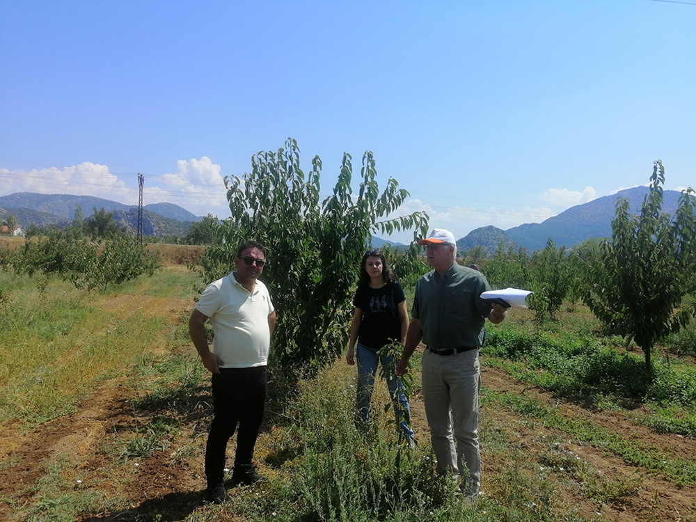 558969167 1268793808627479 7245662050289062814 N