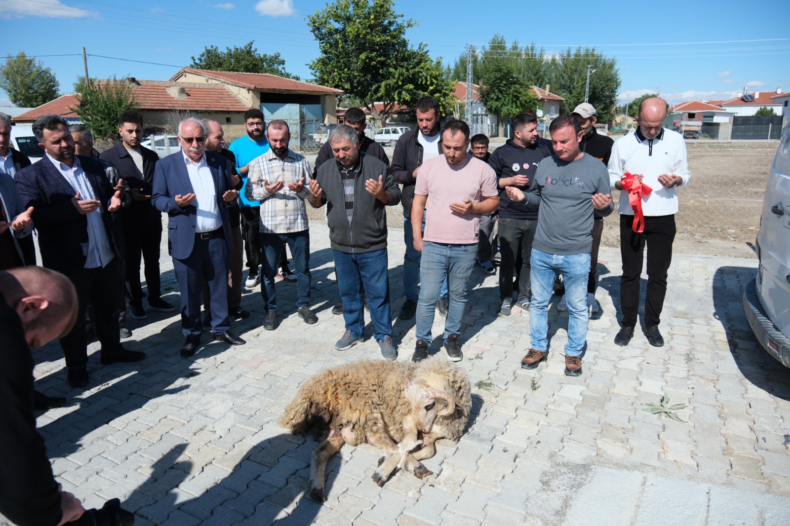 8A33Faf0 C726 4Cd0 82A1 466Ed8Aff0C9