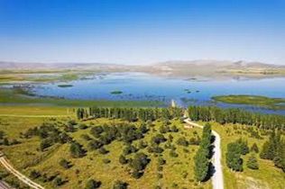 C46A9D2D 4394 4C9B B74D 6Aecbf18Cf8A