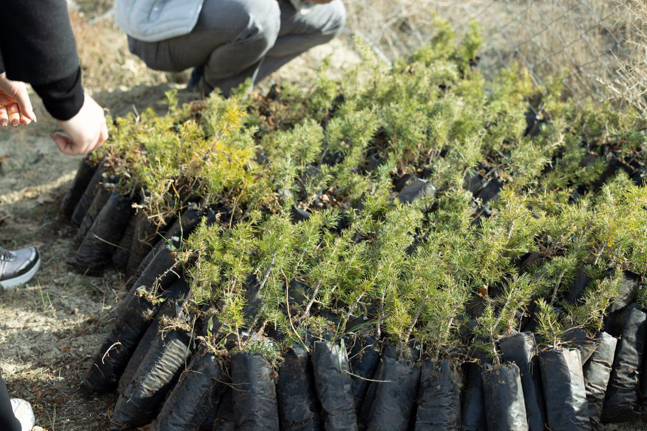 48Ff48D4 7950 4549 A869 0C81Eec4C143