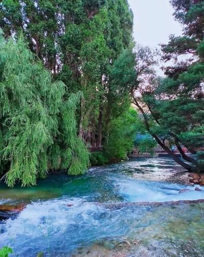 5E6152Da 6B1A 475D 92Ab 94054C7Ae827