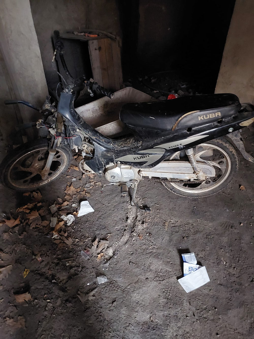 Ee0249Ae 98E3 4Ca8 81D2 58851E287Bd2