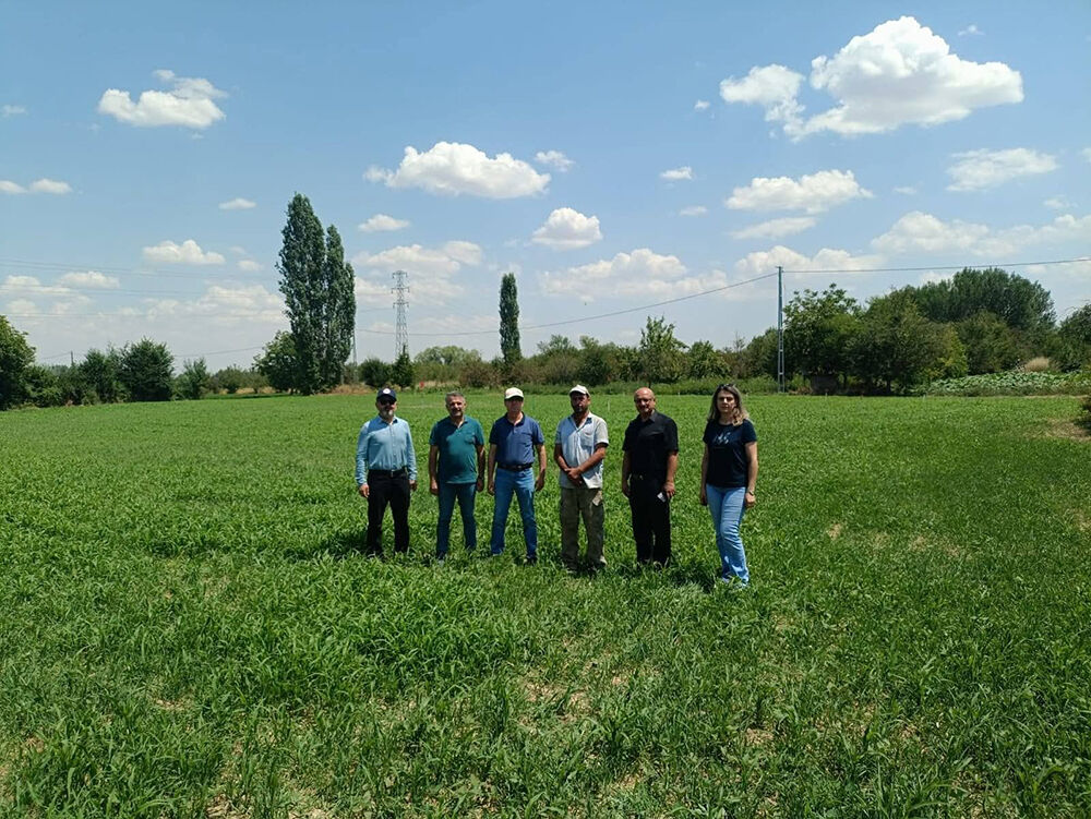 Ilçe Tarım (1)-17