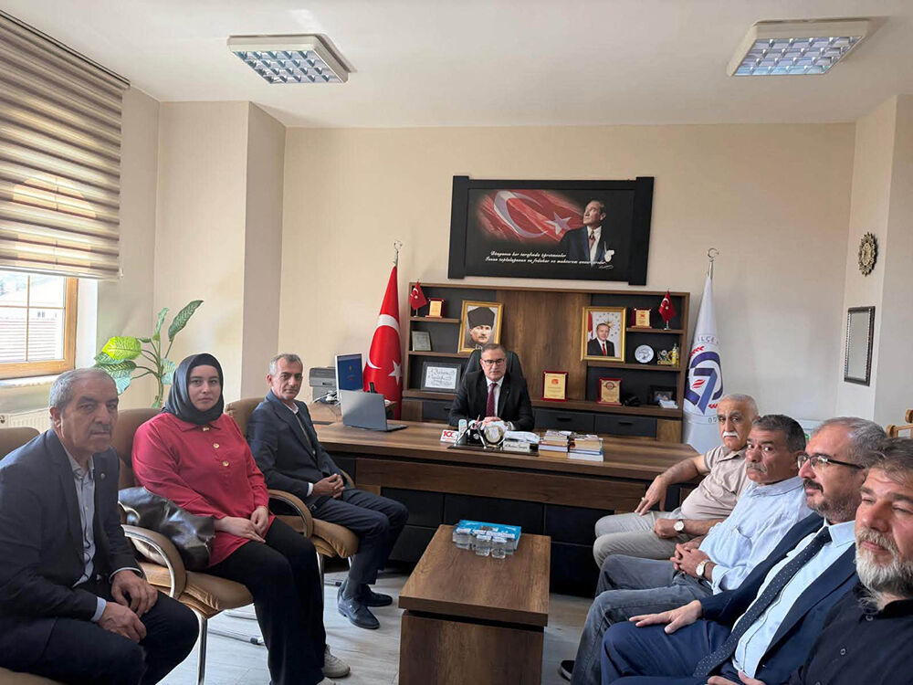 Mhp (1)-2