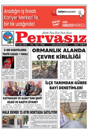 PERVASIZ 08.10.2024