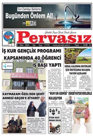 PERVASIZ 04.02.2025