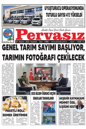 PERVASIZ 30.06.2025