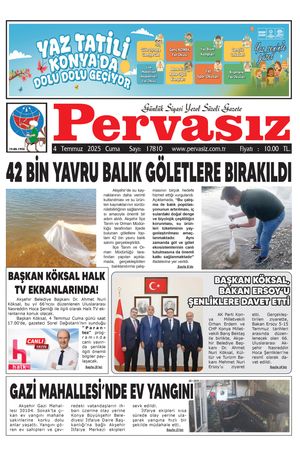 PERVASIZ 04.07.2025