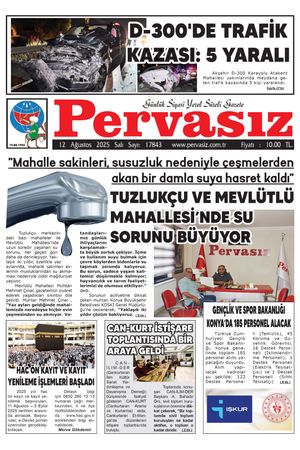 PERVASIZ 12.08.2025