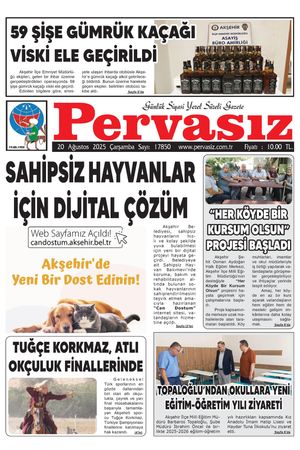 PERVASIZ 20.08.2025
