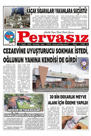 PERVASIZ 03.11.2025