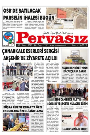 PERVASIZ 18.11.2025